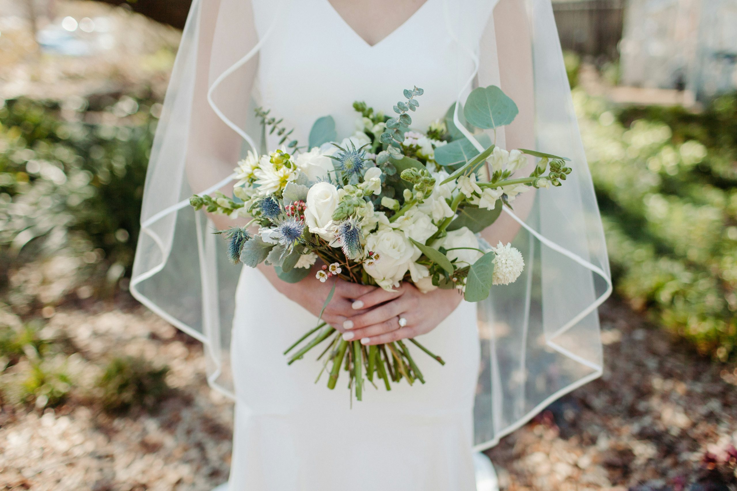 Hello World Featured Image